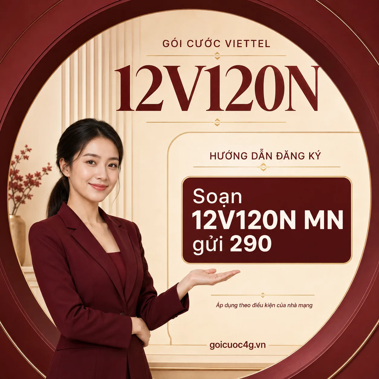 Ảnh thông tin gói 12V120N