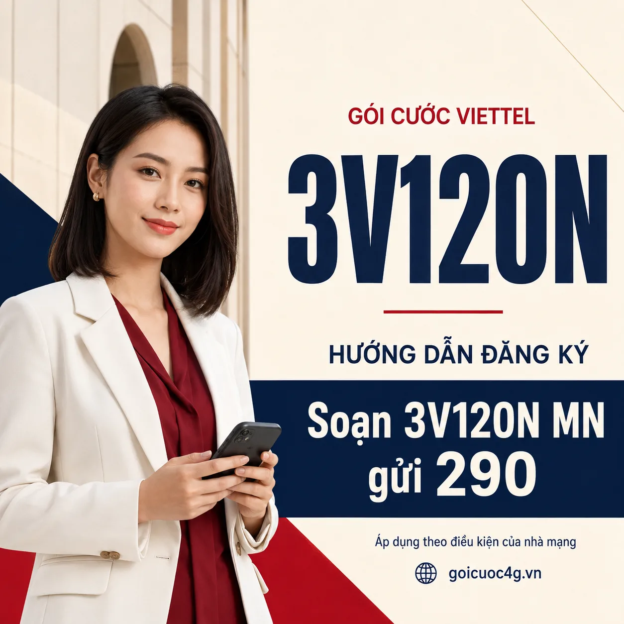 Ảnh thông tin gói 3V120N