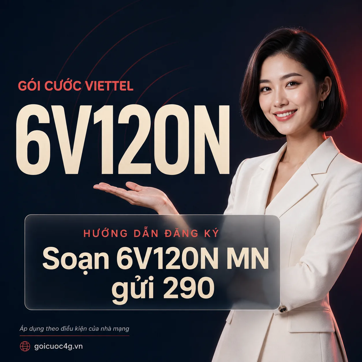 Ảnh thông tin gói 6V120N